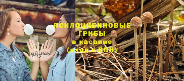 мдма Богданович