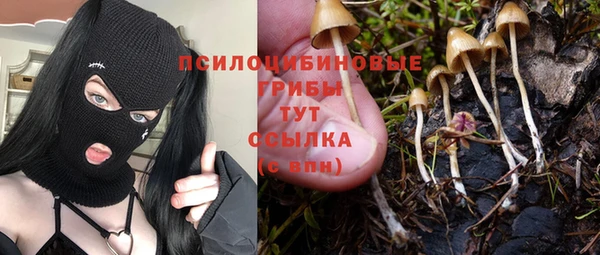 кристаллы Белокуриха