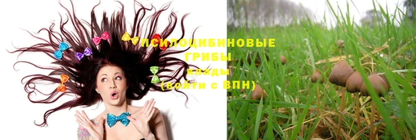 эйфоретик Беломорск