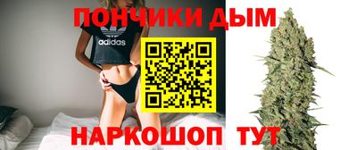 дурь Тара