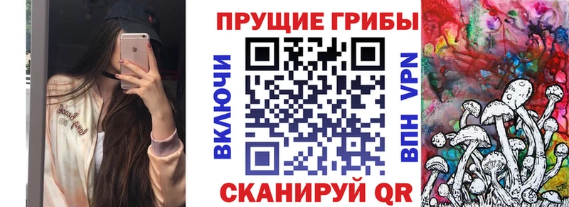 Псилоцибиновые грибы Cubensis  ОМГ ОМГ зеркало  Острогожск 
