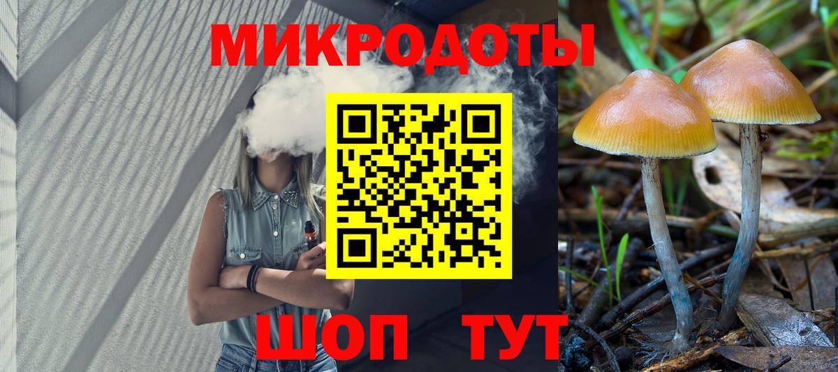 Галлюциногенные грибы прущие грибы Острогожск